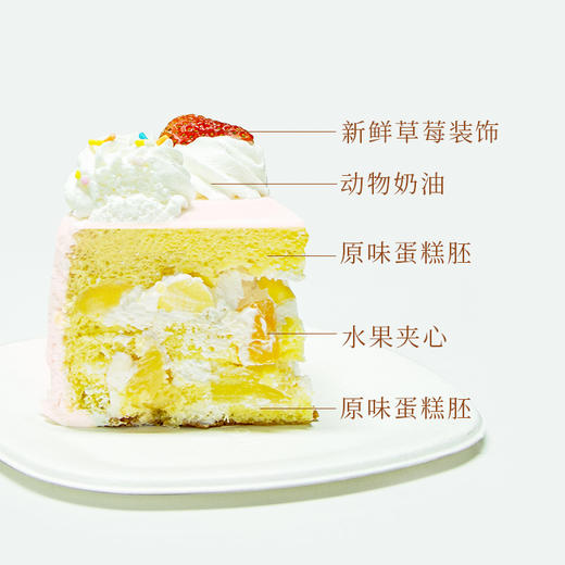 两只小熊 商品图1