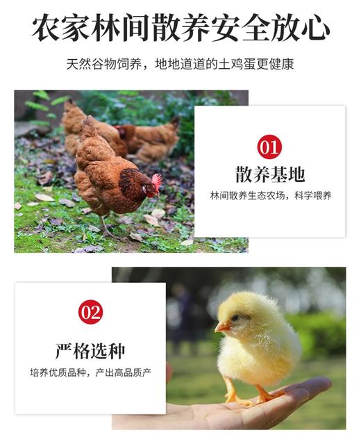 农家散养土鸡蛋40枚 商品图4