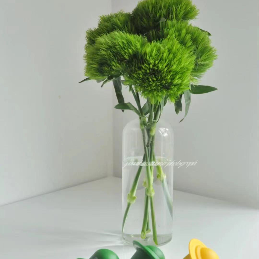 绿毛球 10支/扎 以实物为准 云南基地发货（价格已包含包装费用） 运费以实际为准，多退少补。）
