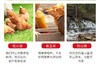 农家散养土鸡蛋40枚 商品缩略图3