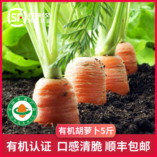绿源禾心有机胡萝卜2.5kg/份 商品图2