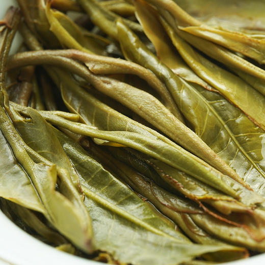 【618开门红】【马鞍山】2023年头春头采临沧著名山头好喝不过马鞍山357克/饼 商品图5