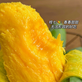广西桂七芒果|山人优选