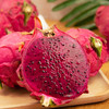 红心火龙果  福建漳州 新鲜水果 商品缩略图4