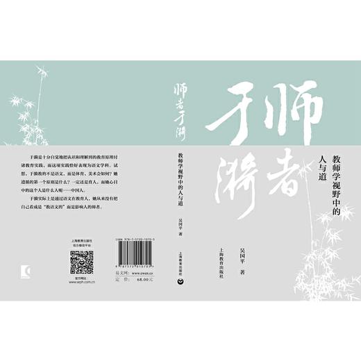 师者于漪(吴国平) 商品图1