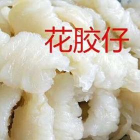 500g 花胶鱼肚【1B5中+/2E3下-2F】