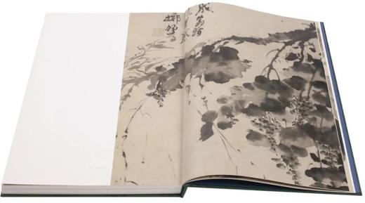 明画全集 第十卷 徐渭/中国历代绘画大系/浙江大学出版社 第10卷 商品图3