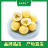 PAGODA百果园 黄金百香果3斤彩箱装（中果，单果重60g-70g） 商品缩略图1