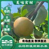 阿林纯天然原生态有机种植上海蜜梨2500g 商品缩略图1