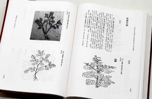 《中华大典.农业典 救荒植物分典》，精装，16开两册，中华大典编纂委员会编，西南师范大学出版社2018年一版一印，定价1080，售价216元。

本书主要辑录古籍中有关救济灾民使度过饥荒的植物方面的资 商品图13