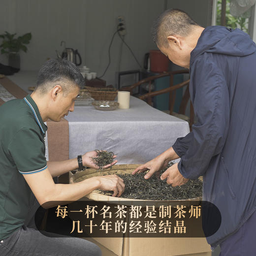 【黄印生态青饼】为老客而生为会员而作，整提出售福利款古粉会员的印记篇章，2022年春茶四大茶区精制357克/饼5饼/提 商品图7