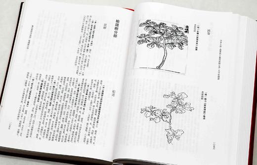 《中华大典.农业典 救荒植物分典》，精装，16开两册，中华大典编纂委员会编，西南师范大学出版社2018年一版一印，定价1080，售价216元。

本书主要辑录古籍中有关救济灾民使度过饥荒的植物方面的资 商品图11