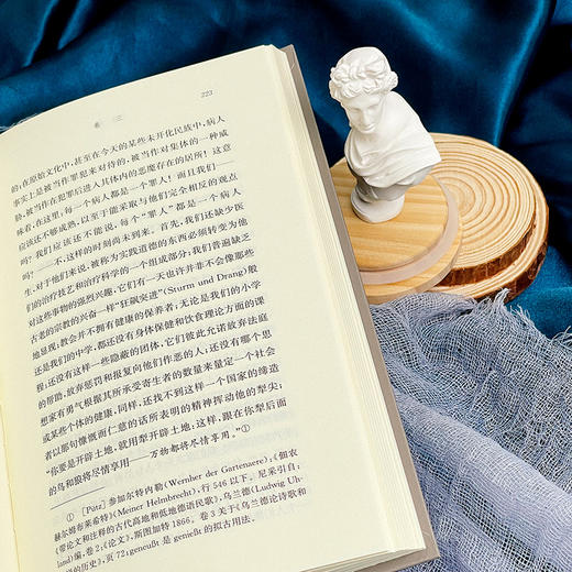 朝霞 尼采全集 注疏版 575节格言式警句 关于道德偏见的思考 商品图8