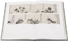 明画全集 第十卷 徐渭/中国历代绘画大系/浙江大学出版社 第10卷 商品缩略图4
