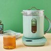 黄帝内经100天精智茶养（精粹养生壶+100天调理茶套装） 商品缩略图5
