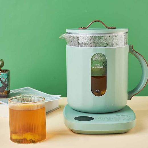 黄帝内经100天精智茶养（精粹养生壶+100天调理茶套装） 商品图5