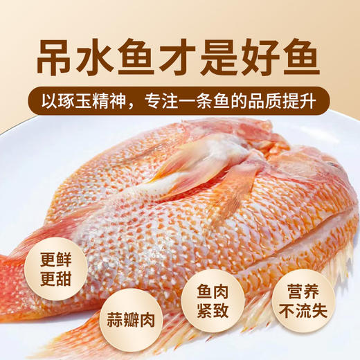 （省内包邮）南方优品桃玉鲷 3条装 商品图2