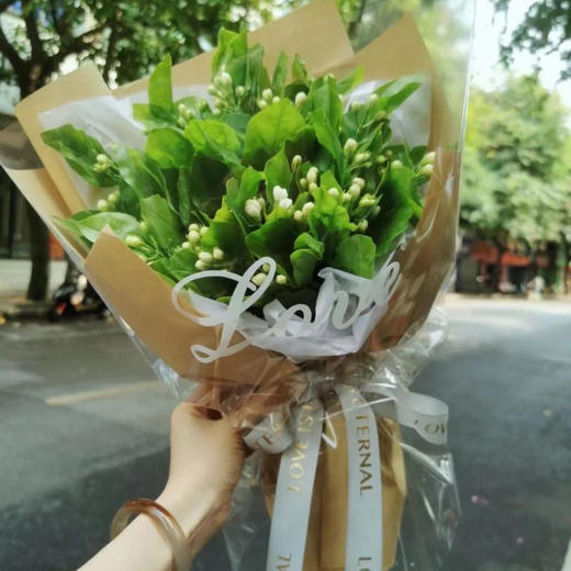 茉莉花 30支/扎 以实物为准 云南基地发货（价格已包含包装费用） 运费以实际为准，多退少补。 商品图1