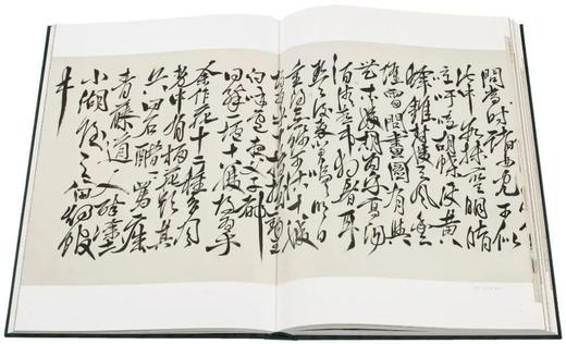 明画全集 第十卷 徐渭/中国历代绘画大系/浙江大学出版社 第10卷 商品图7