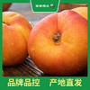 PAGODA百果园 黄油蟠桃9粒礼盒装（大果，单果重120g-170g，净重3斤） 商品缩略图6