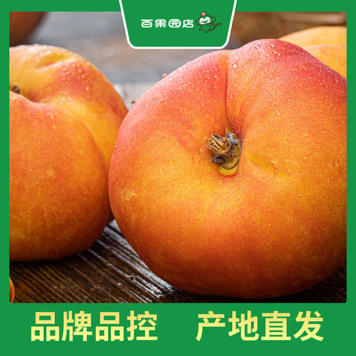 PAGODA百果园 黄油蟠桃9粒礼盒装（大果，单果重120g-170g，净重3斤） 商品图6