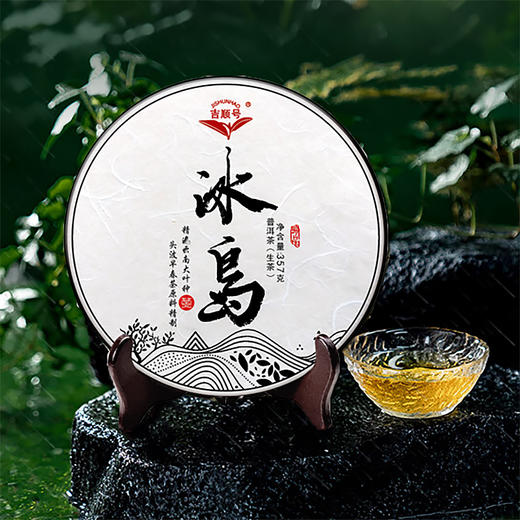 2023年野放冰岛头波春茶普洱生茶饼茶叶357克 商品图0