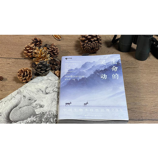 生命的灵动：中国生物多样性影像20年 中国野生动物摄影 奚志农 摄影书籍 电子工业出版社 商品图2