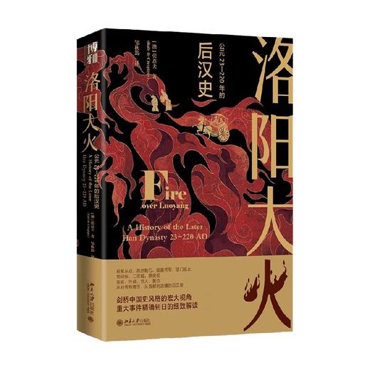 洛阳大火 公元23-220年的后汉史 张磊夫 著 历史 商品图4