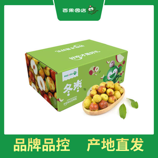 PAGODA百果园 甜蜜蜜冬枣3斤礼盒装（大果，单果重16g-22g） 商品图0