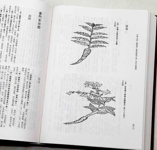 《中华大典.农业典 救荒植物分典》，精装，16开两册，中华大典编纂委员会编，西南师范大学出版社2018年一版一印，定价1080，售价216元。

本书主要辑录古籍中有关救济灾民使度过饥荒的植物方面的资 商品图7