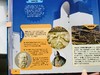 【院士编撰，获奖无数】写给孩子的《中国儿童地图百科全书》丨紧贴课本，一套读懂世界+中国 地理、人文、历史、动植物学 商品缩略图14