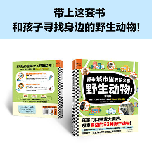 读客原来城市里有这么多野生动物全3册（观察家门口的93种野生动物） 商品图7
