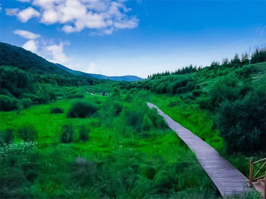 五一2日【坝上草原】坝上正确打开方式の摄影、骑马、篝火、烤全羊、卡拉OK 商品图5
