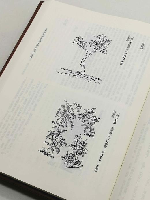 《中华大典 农业典》，全19册，精装，16开，西南师范大学出版社出版，定价11080，售价2216元。单种可分售。非偏远地区包邮 商品图11