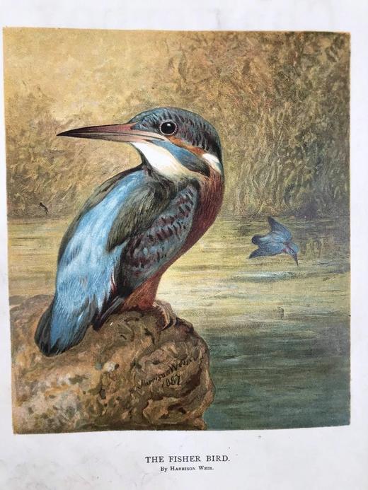 1889年 巧言小筑杂志 数百幅版画插图 漆布精装16开 商品图9