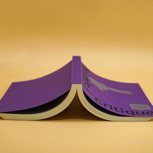 批判的限度 （守望者·镜与灯） 商品图3