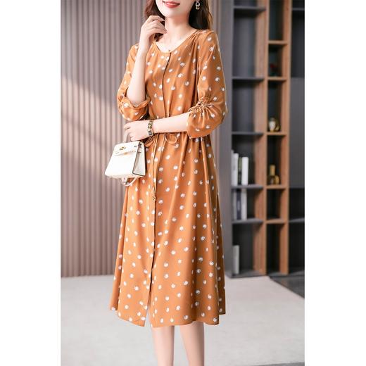 YX【定制12天】印花真丝衬衫连衣裙女夏2024新款韩版桑蚕丝收腰显瘦中长裙 商品图4