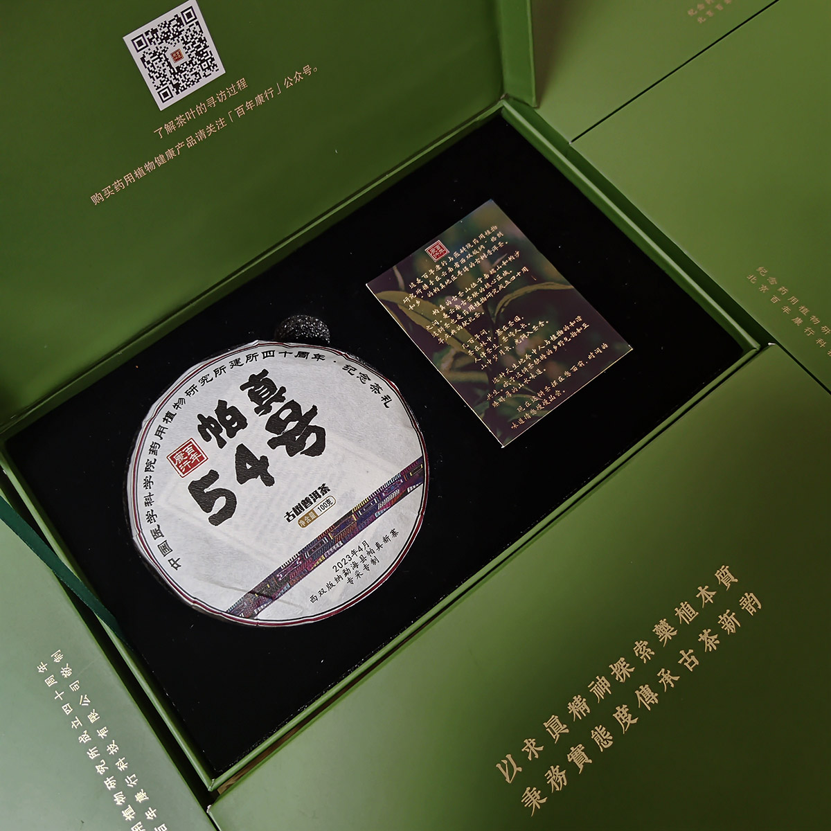 一年陈帕真54号古树普洱茶（2023年采制，100克/饼）