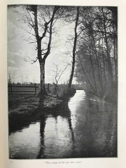 1898年 礼拜日杂志 数百幅插图 漆布精装18开 商品图9