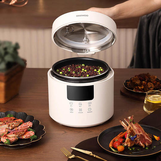 大宇电压力锅DYYL-4027 星云白【分仓直发，72小时发货，周末节假日不发货】 商品图7