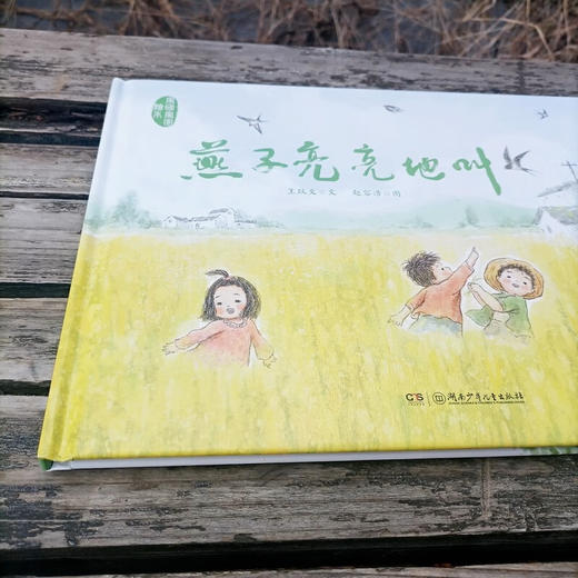 燕子亮亮地叫 6-10岁 王跃文 著 儿童文学 商品图1