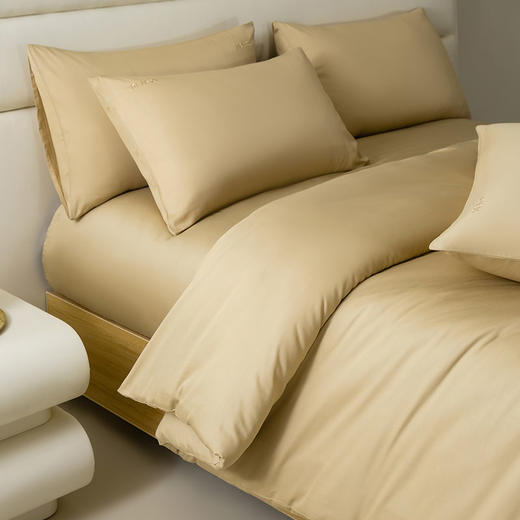 14847-KGD-011 素色贡缎四件套 商品图1