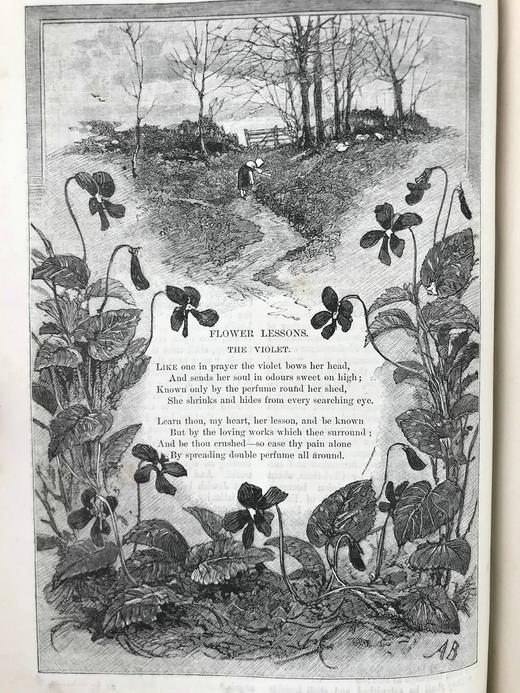 1883年 箭囊杂志 数百幅插图 漆布精装16开 商品图8