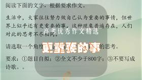 高考优秀作文精选：更重要的事