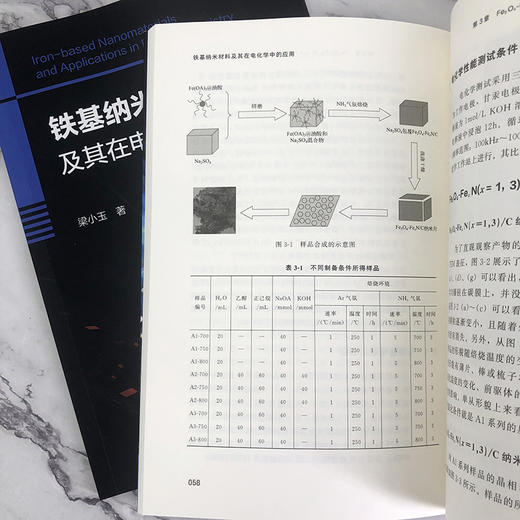 铁基纳米材料及其在电化学中的应用 商品图8