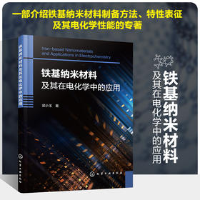 铁基纳米材料及其在电化学中的应用