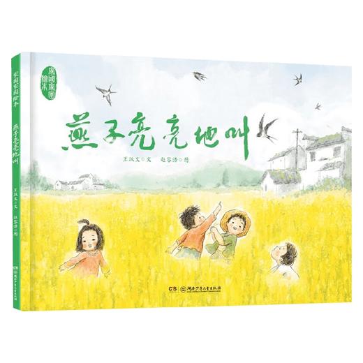 燕子亮亮地叫 6-10岁 王跃文 著 儿童文学 商品图0