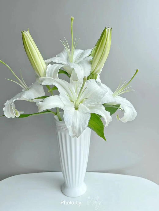 我永远会为了百合的美好而感到心动😍西伯利亚白百合，是中度香味，放在客厅每次路过都是若有似无但又不会太过浓郁！颜色清爽又简约！超适合夏天！一束2-3支，7-10个头 商品图2