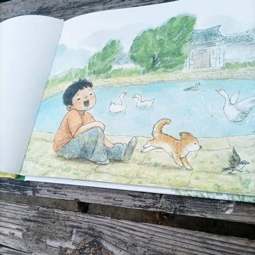 燕子亮亮地叫 6-10岁 王跃文 著 儿童文学 商品图3