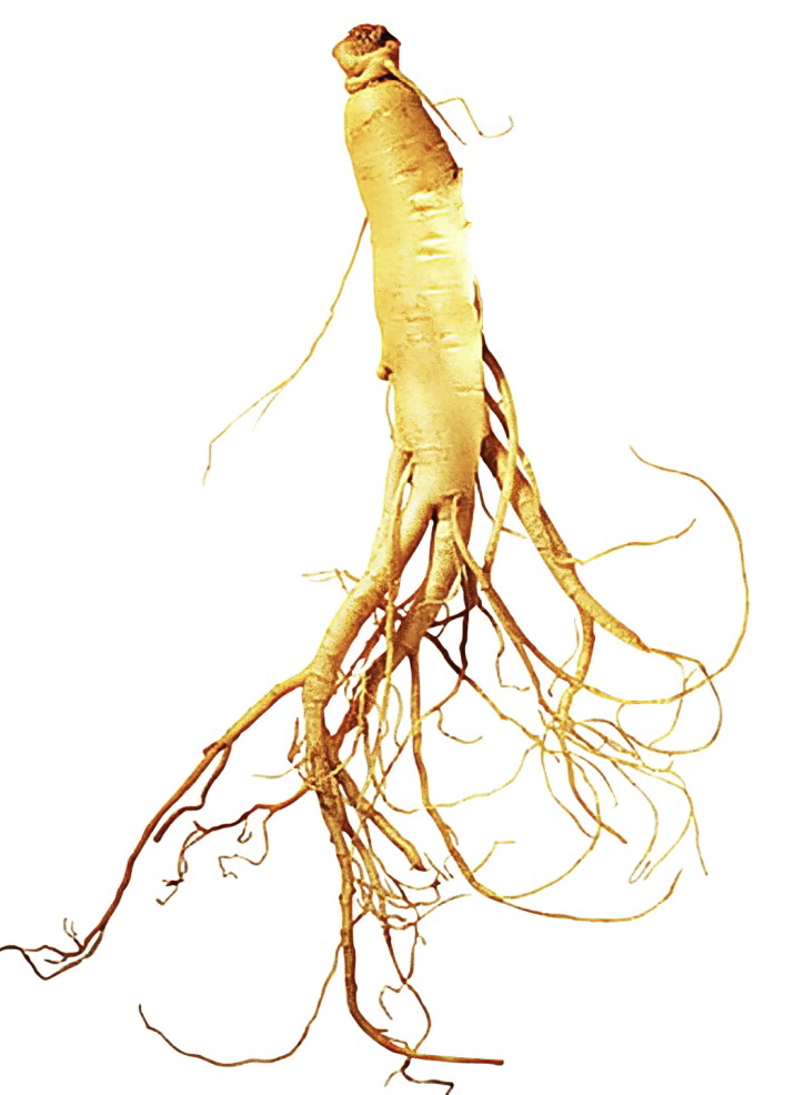 人参 精华。50 ml。